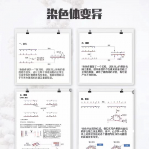 【为什么做了三代试管婴儿pgs，小孩在孕期做四维还是会出现染色体问题】 ...